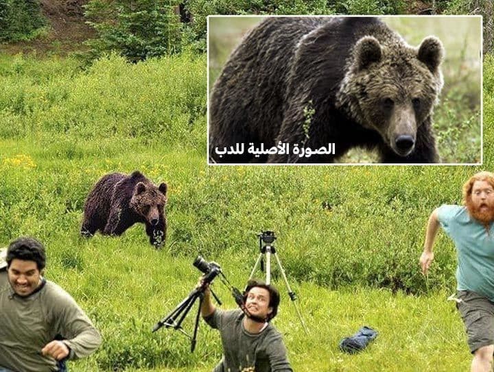 هل هذه صورة من كواليس ناشيونال جيوغرافيك