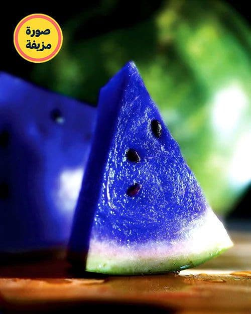 بطيخ القمر الياباني الأزرق
