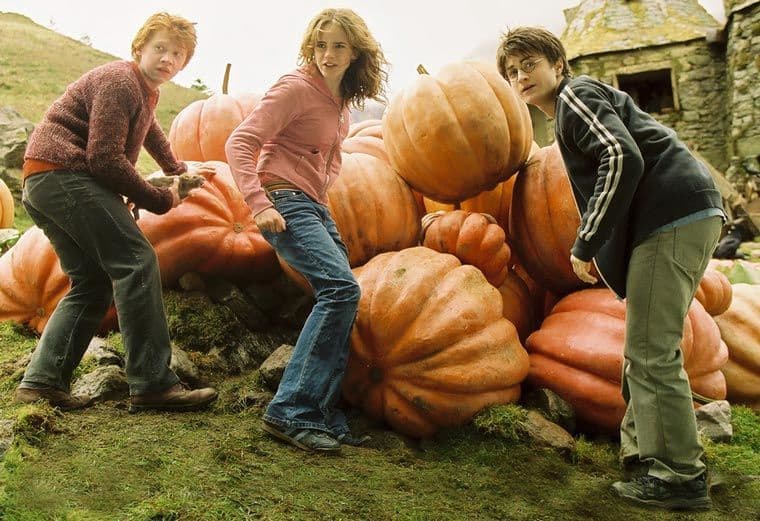 Harry Potter and The Prisoners of Azkaban