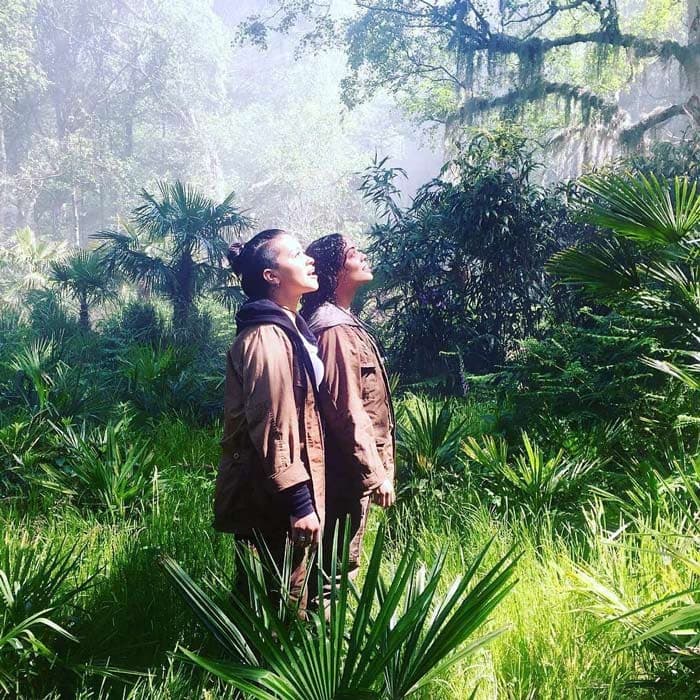 Annihilation