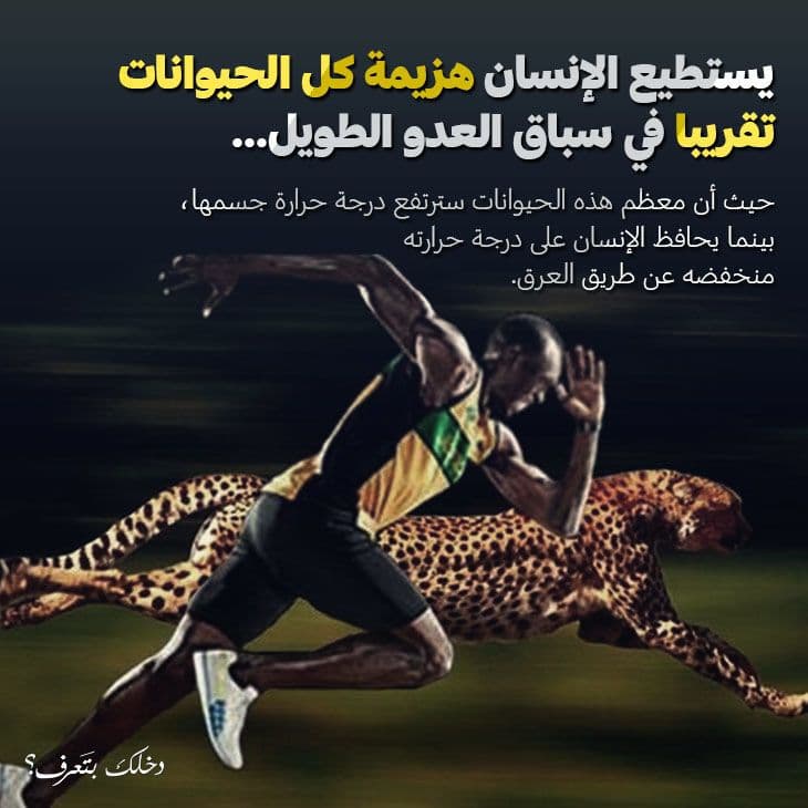 أسرع الكائنات على الكوكب