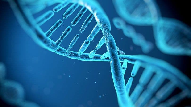 الحمض النووي DNA