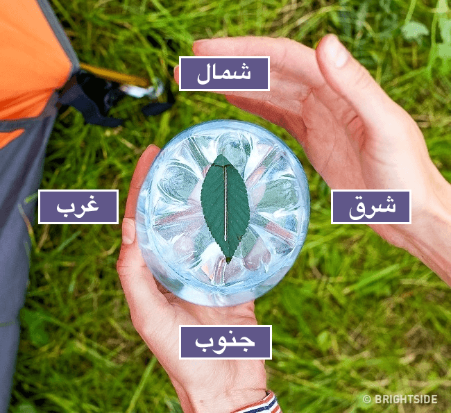لصنع بوصلة من العدم، قم بوضع ورقة شجر في الماء، وقم بوضع إبرة فوق الورقة