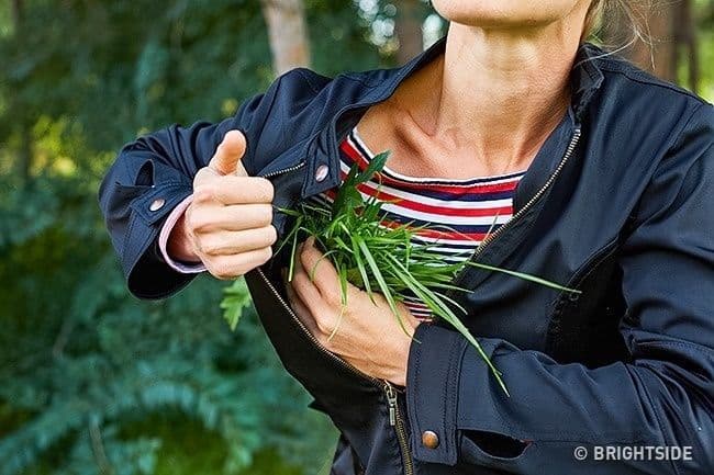 لتشعر بالدفء، أو ترفع من درجة حرارتك عليك بوضع الأعشاب والأغصان تحت ملابسك