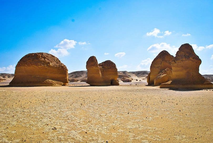 وادي الحيتان في مصر