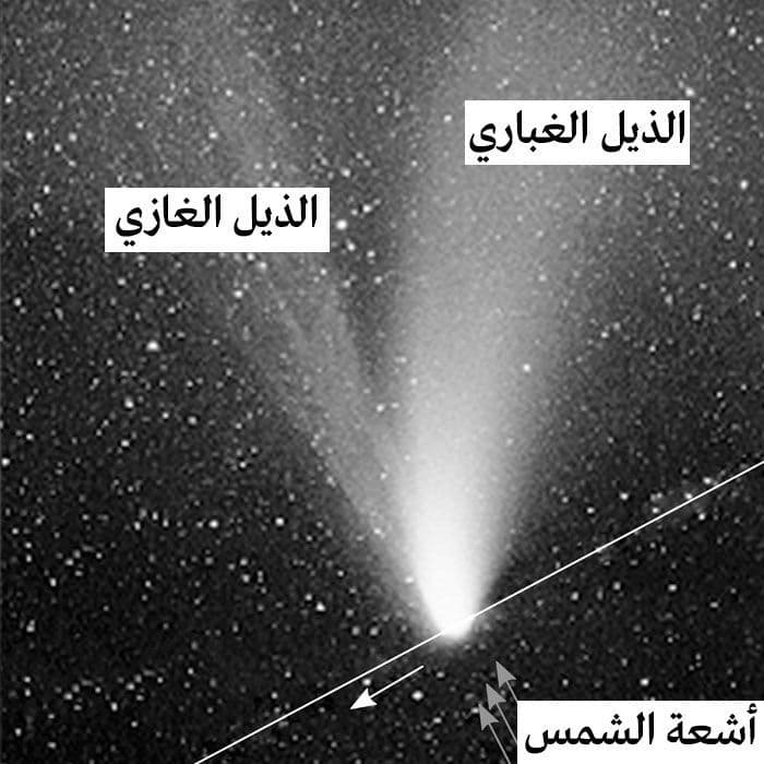 ذيل المذنب