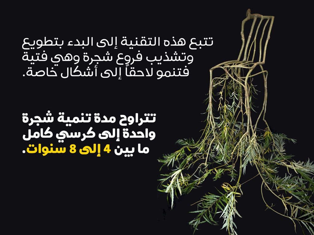 الأثاث المنمى