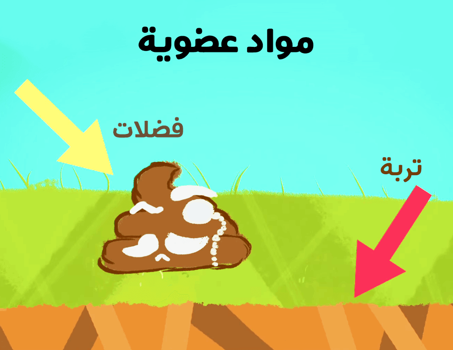 رسم توضيحي لفضلات وتربة