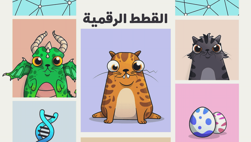 صورة القطط الرقمية