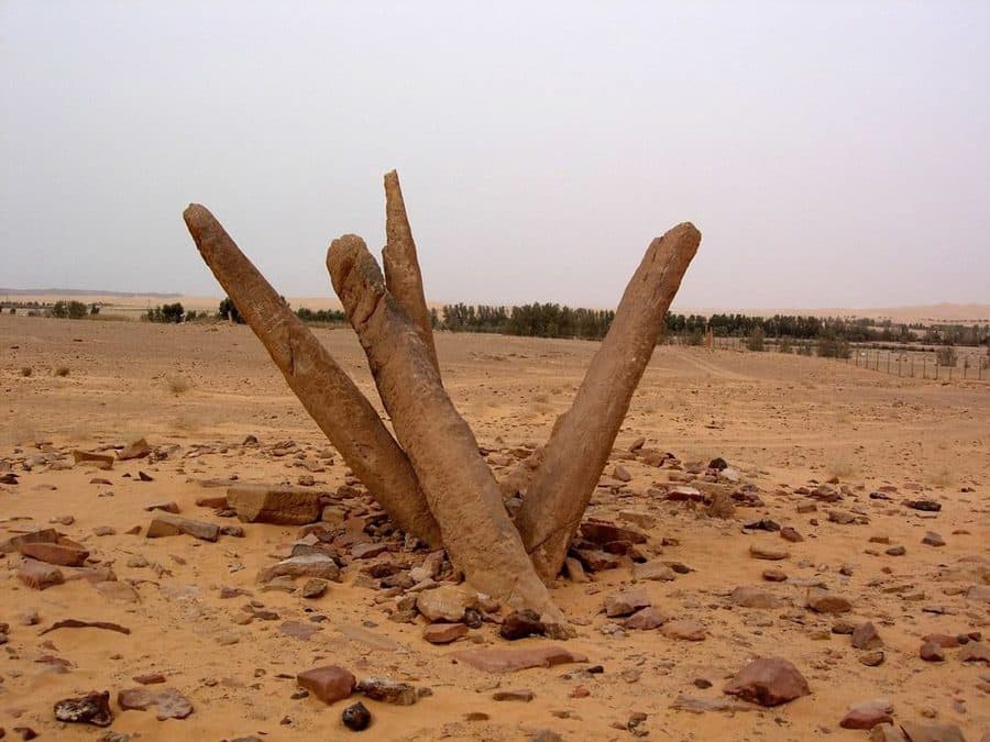 أعمدة صخرية منتصبة