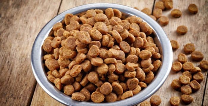 طعام كلاب