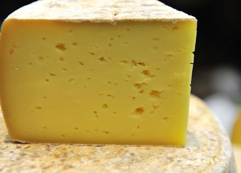 الجبنة
