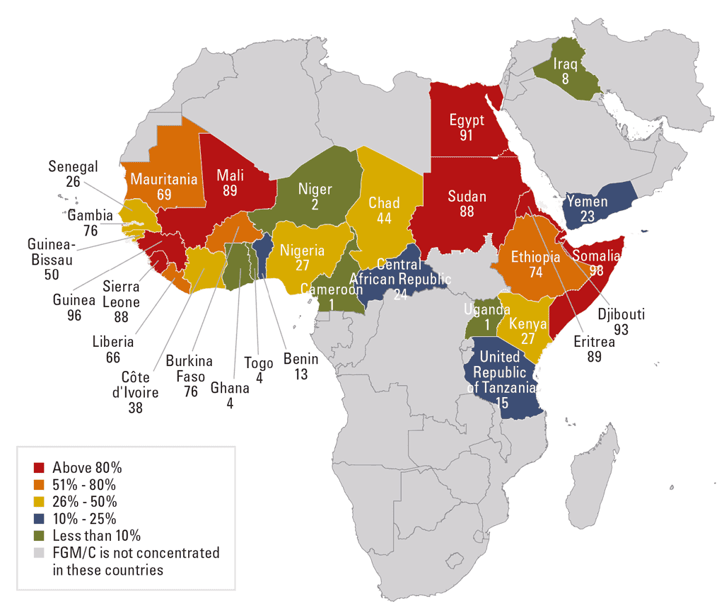 بعض الأرقام التي تبين مناطق انتشار ختان الإناث - المصدر: The Population Council