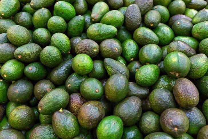 كومة من ثمار الأفوكادو في مراحل مختلفة من النضوج