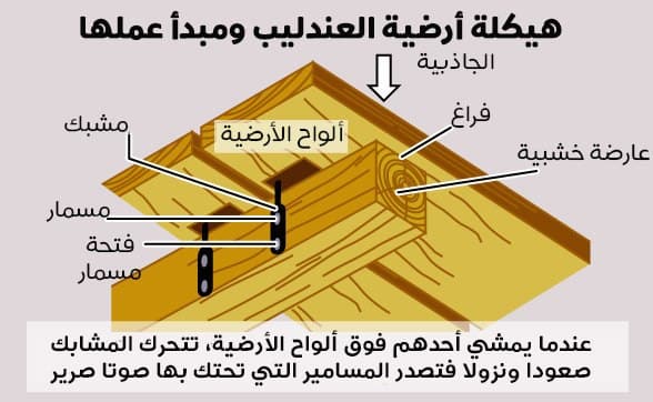 هيكلة أرضية العندليب ومبدأ عملها