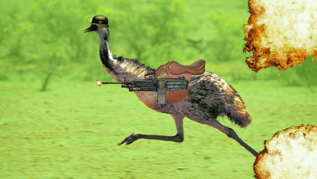 حرب الإيمو