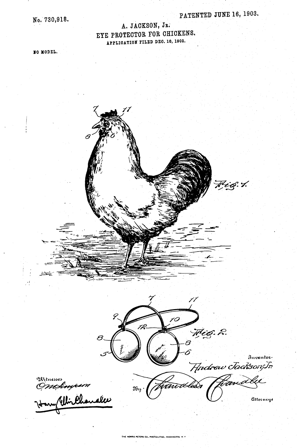 براءة اختراع نظارات الدجاج - صورة: Google patents