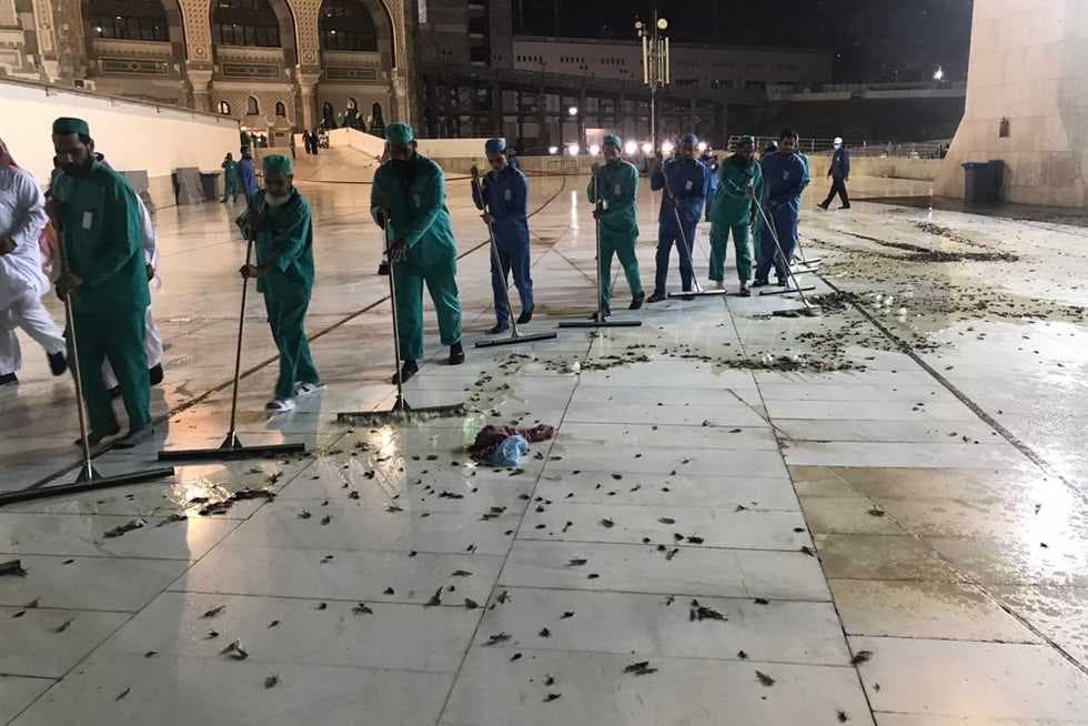 هجوم الجراد
