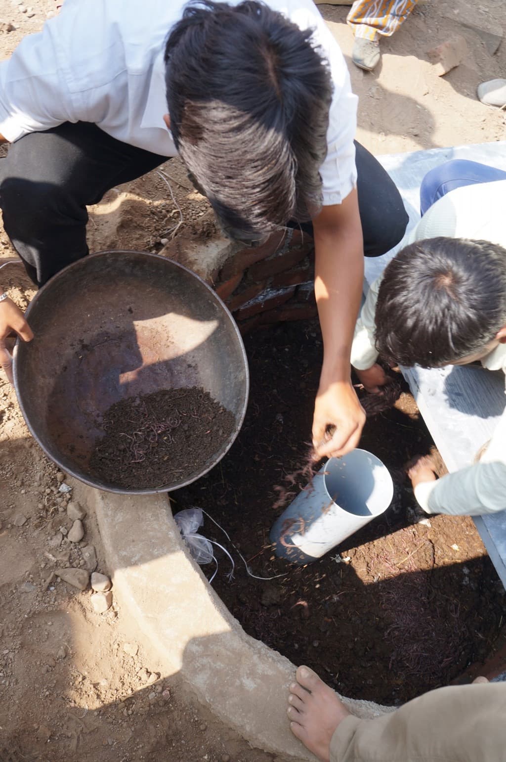 تثبيت «مرحاض النمر».