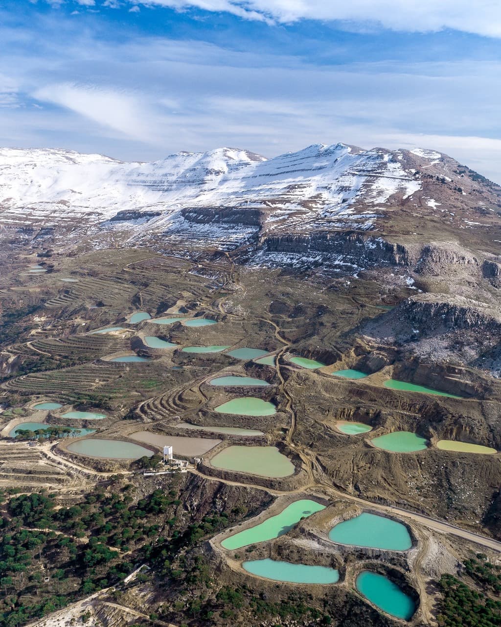 فالوغا