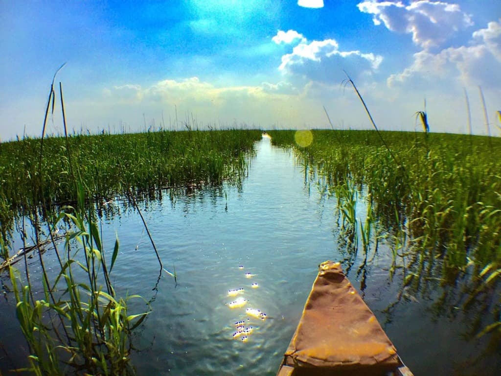 أهوار العراق