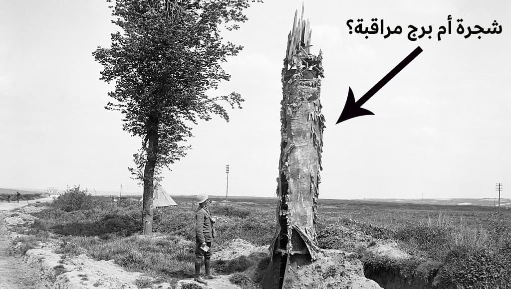 أبراج المراقبة في الحرب العالمية الثانية على شكل أشجار