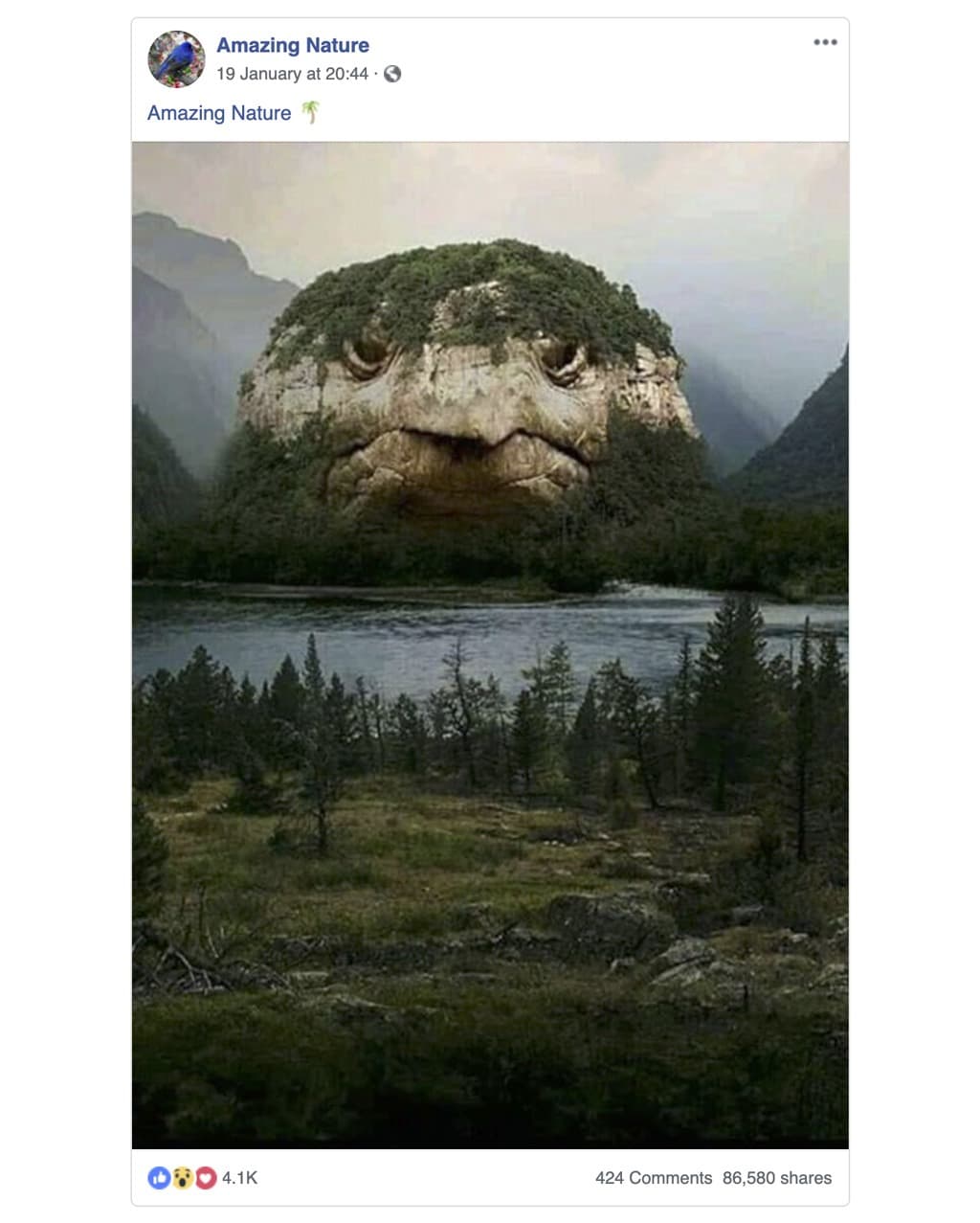 المنشور المحذوف الذي شاركته صفحة Amazing Nature على صفحتها على فيسبوك.