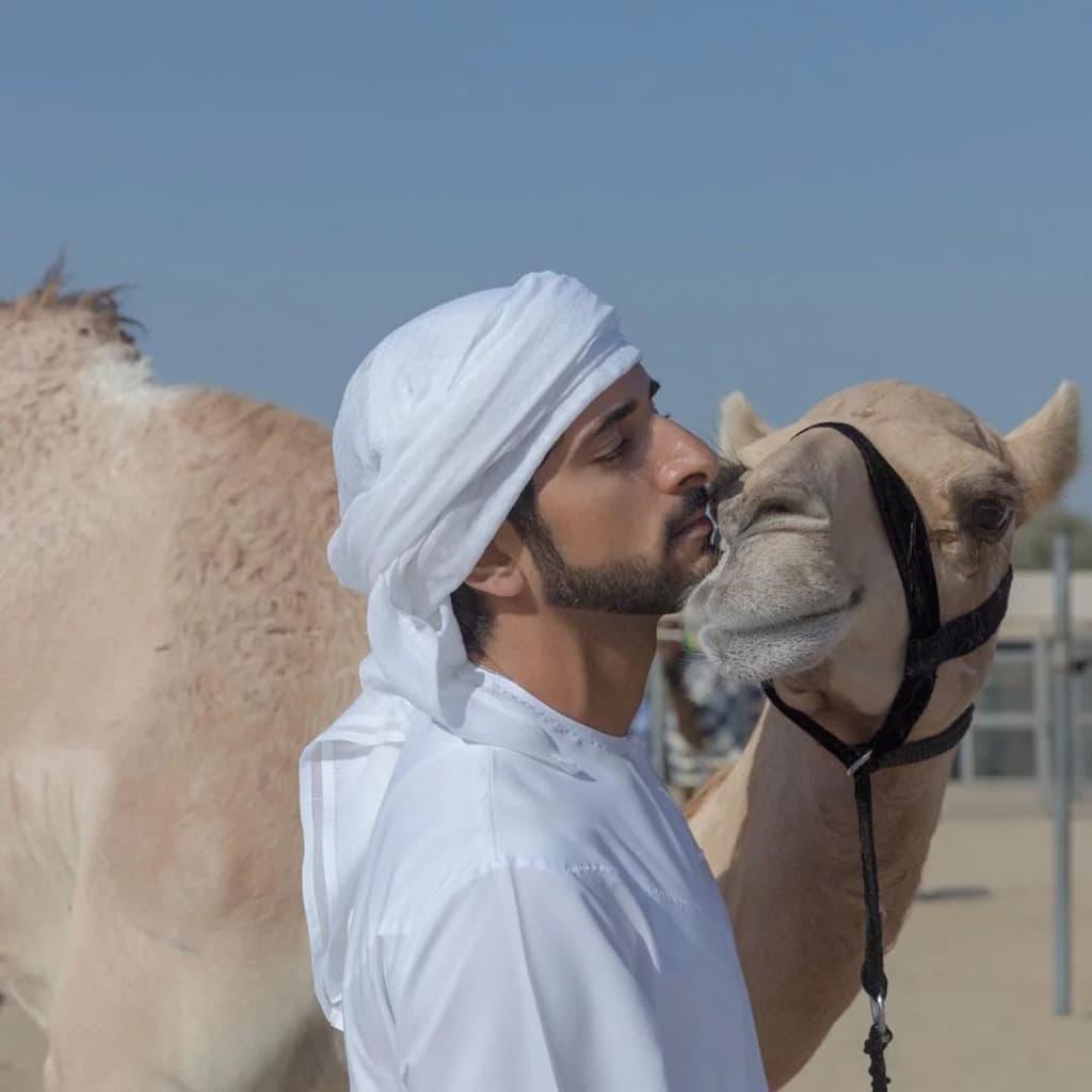 الأميرحمدان بجانب إحدى الإبل