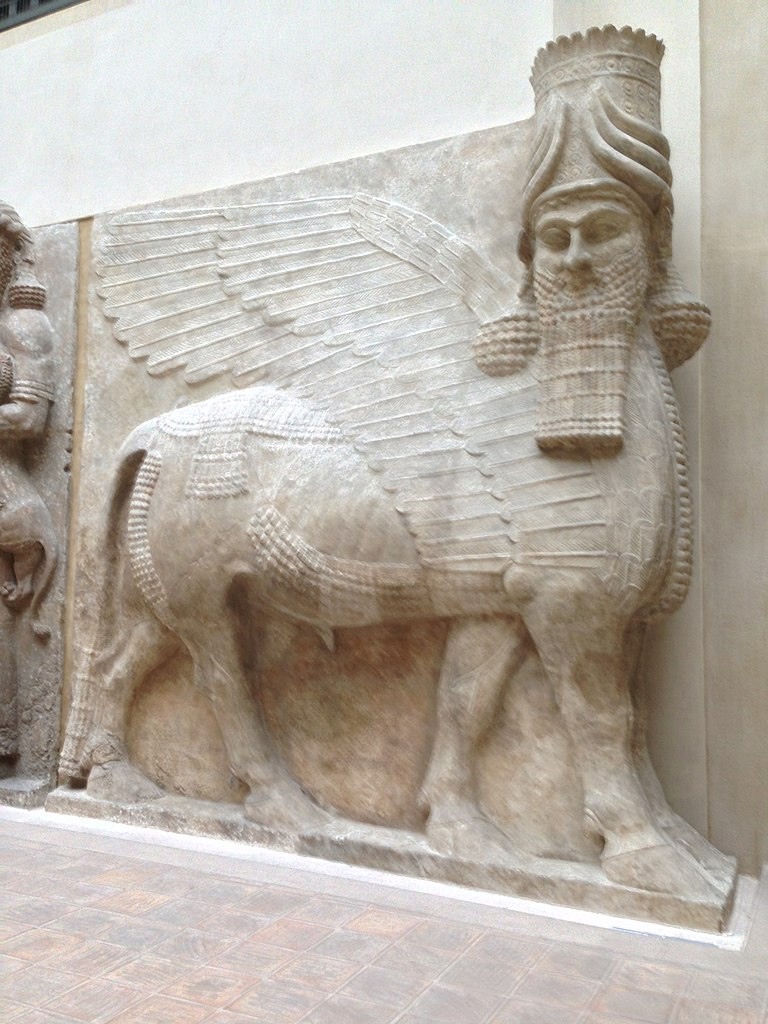 (شيدو). التقط (تايلر دي نوش) هذه الصورة.
