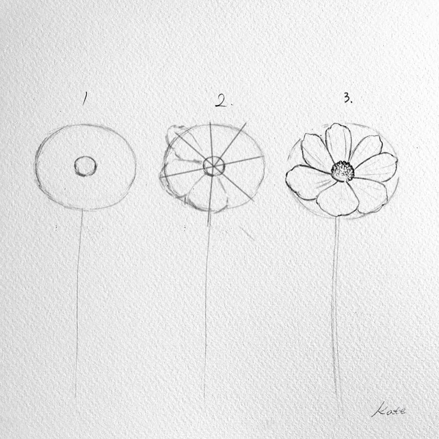 طريقة رسم زهرة