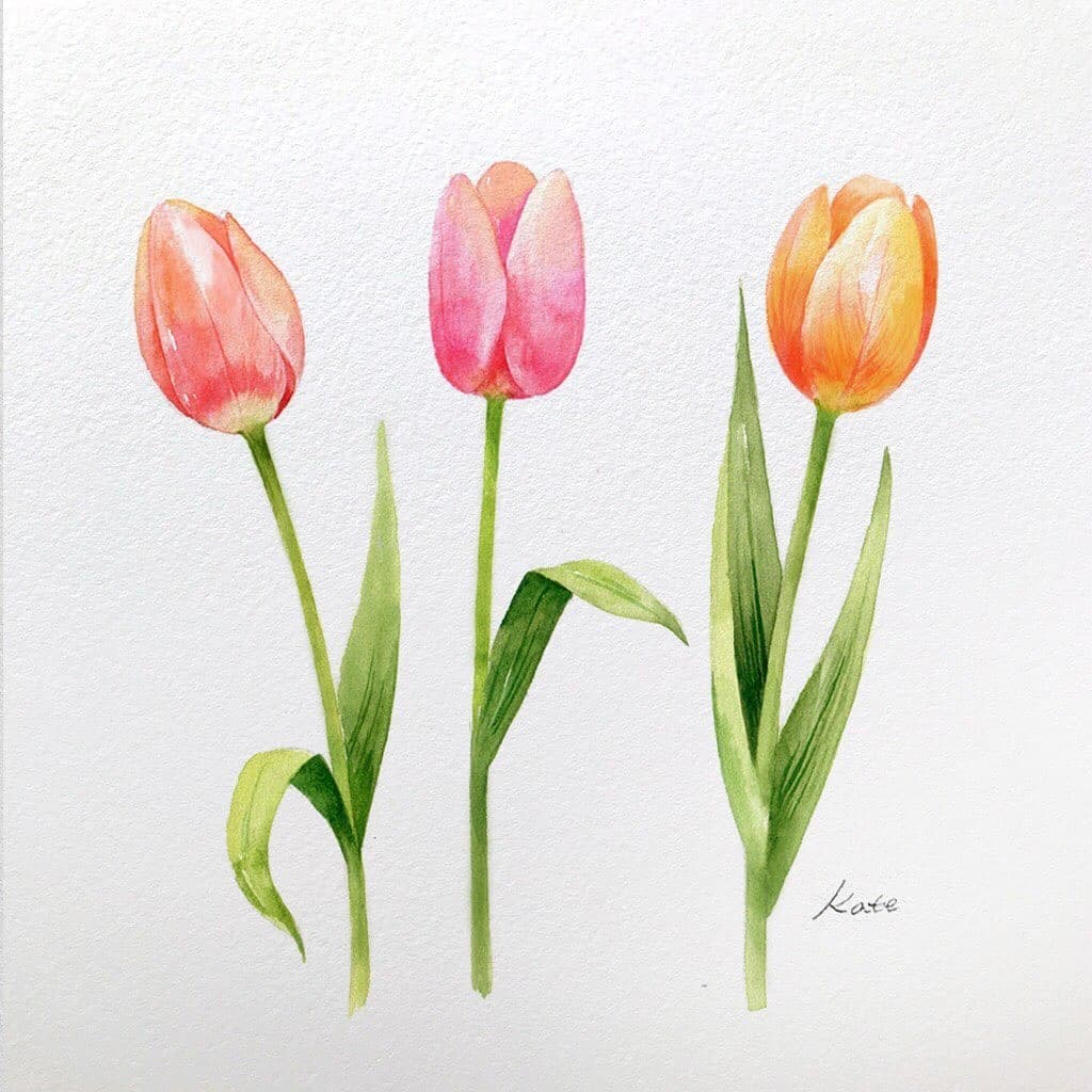 طريقة رسم زهرة