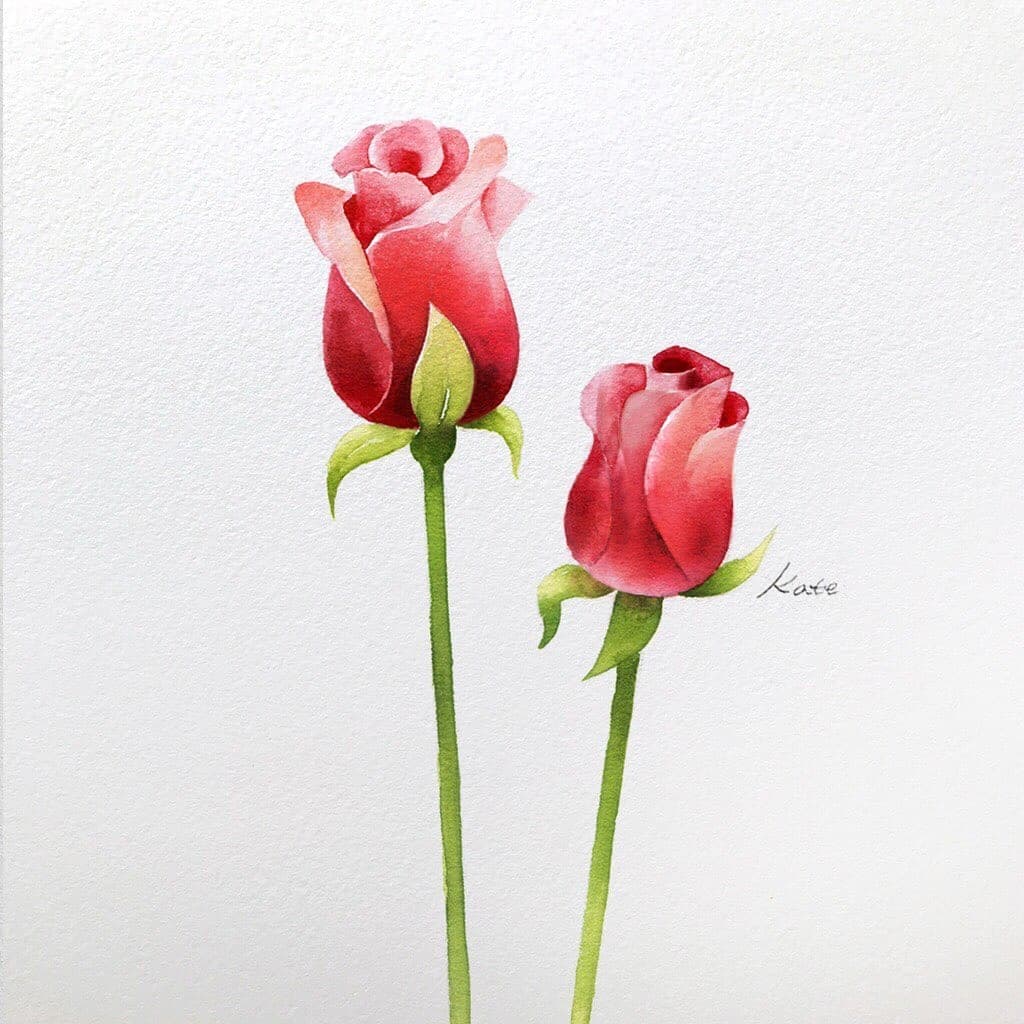 طريقة رسم زهرة