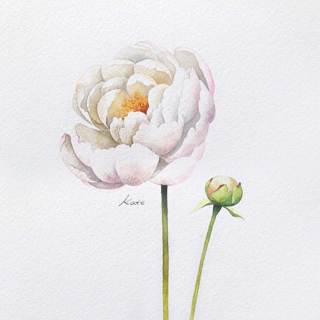 طريقة رسم زهرة