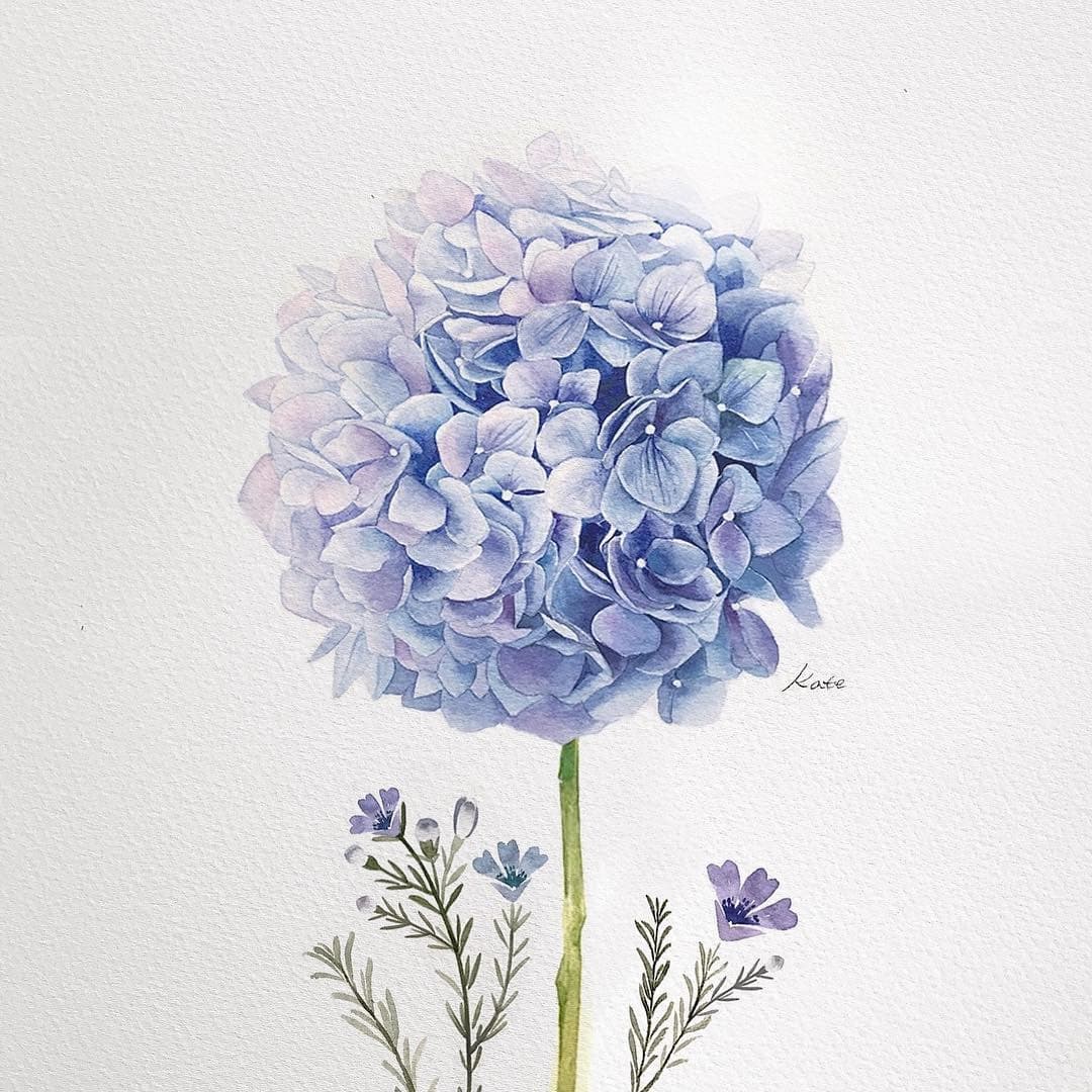 طريقة رسم زهرة