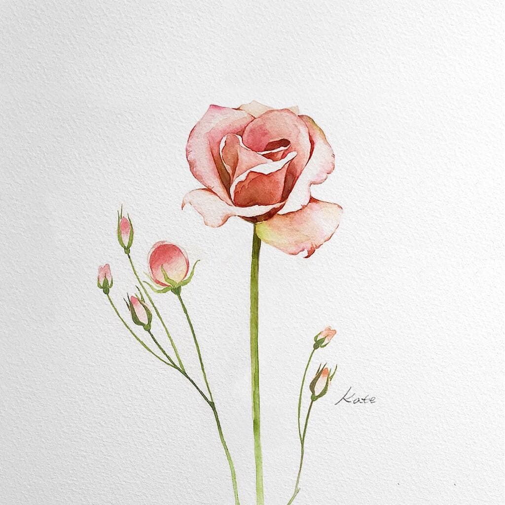طريقة رسم زهرة