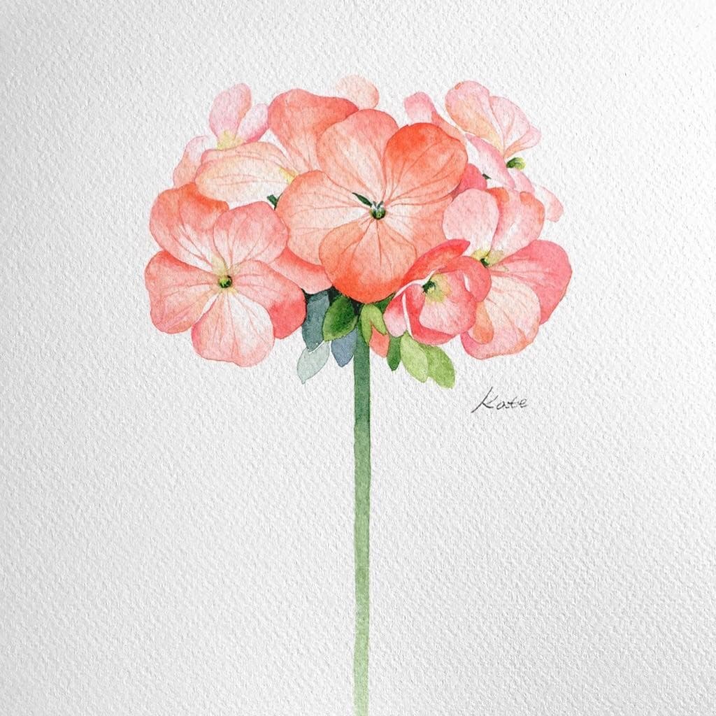 طريقة رسم زهرة