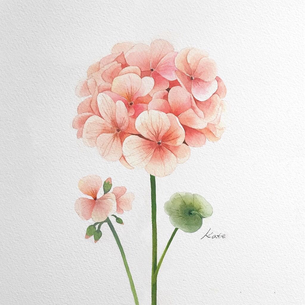 طريقة رسم زهرة