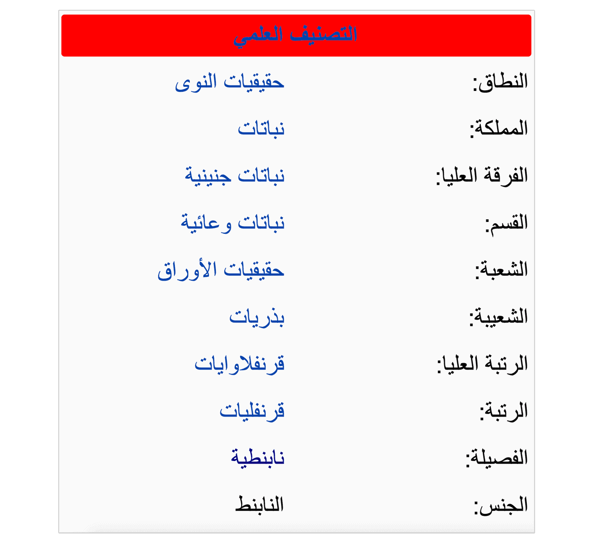 نبتة حقيقية من فصيلة النابنطيات اللاحمة