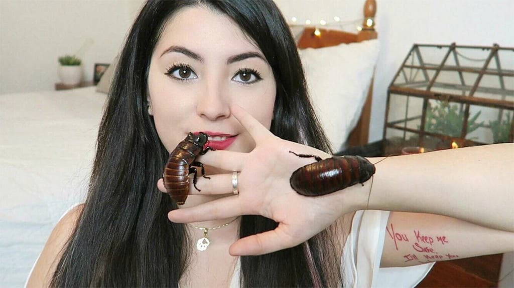 إمزوتيك وصراصيرها المخيفة.