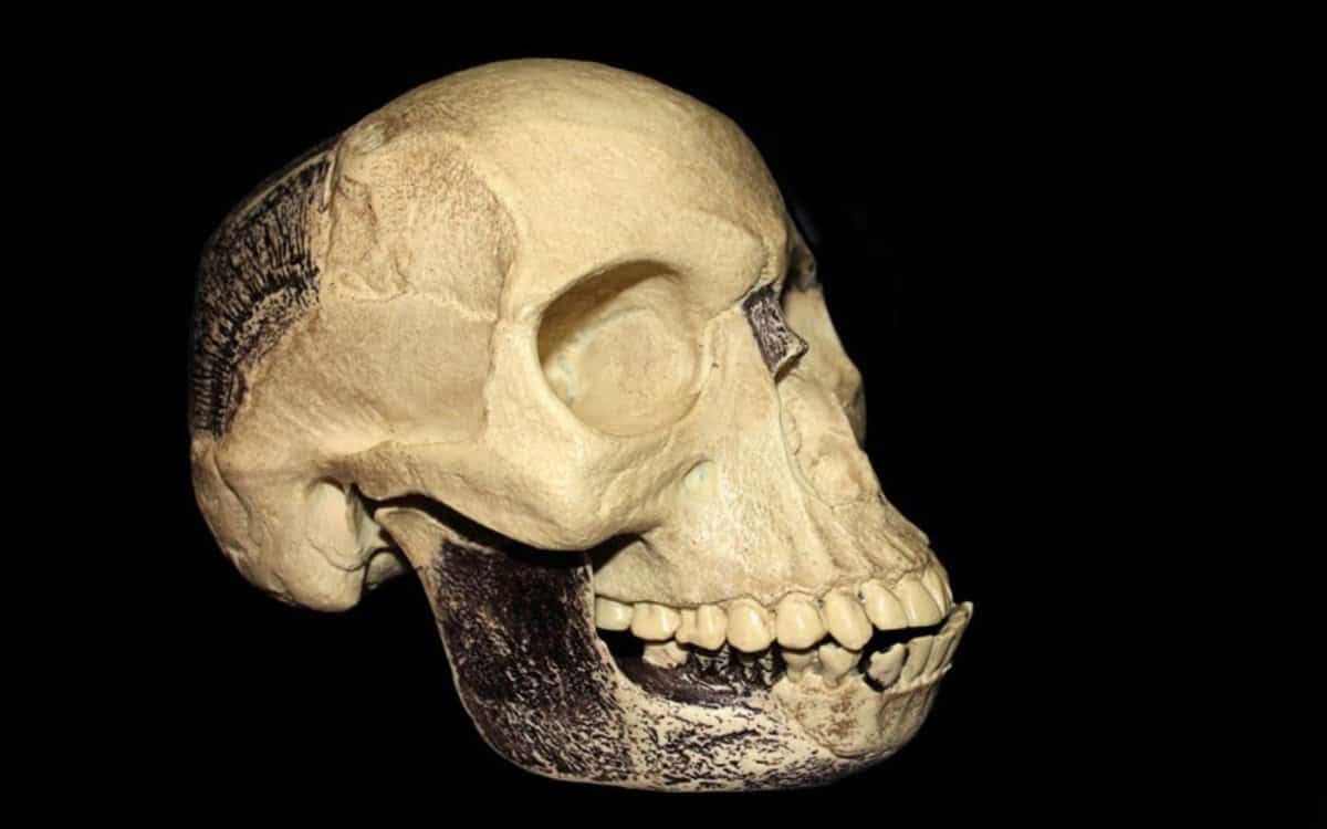 إنسان بيلتداون Piltdown Man