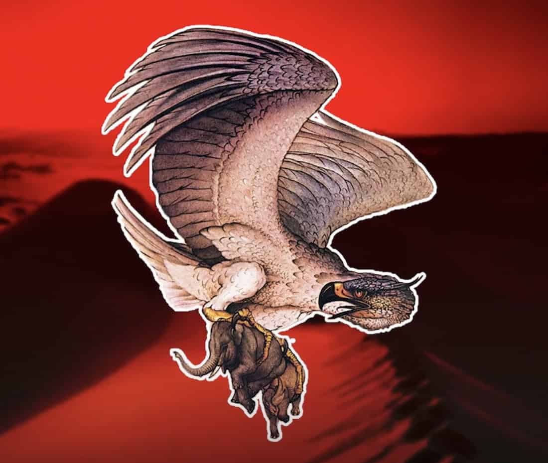 الرخ