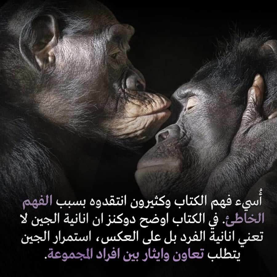 قرود عطف