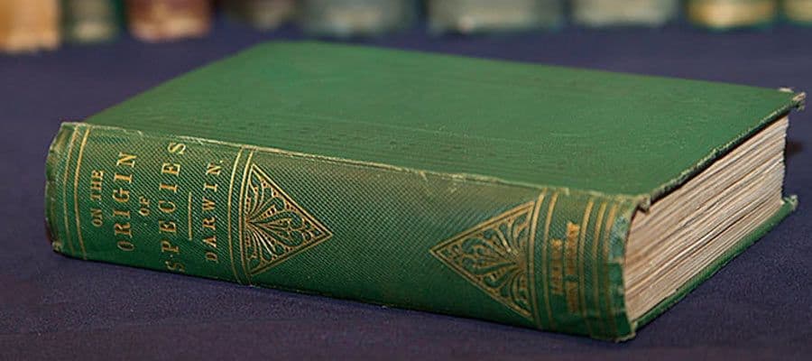 أصل الأنواع