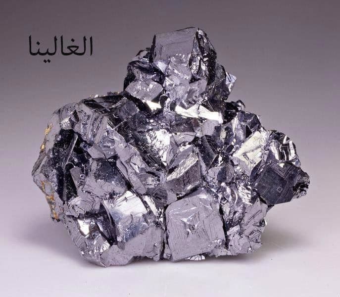 الغالينا