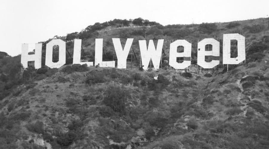Hollyweed