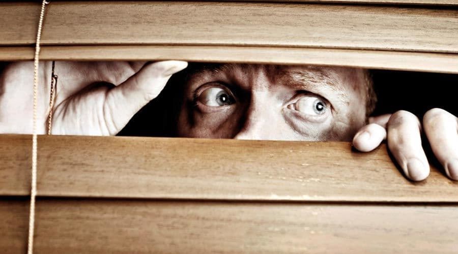 الزَوْريّة/البارانويا Paranoia