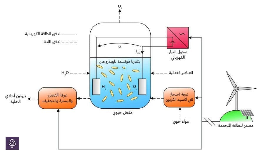 صنع طعام من الكهرباء