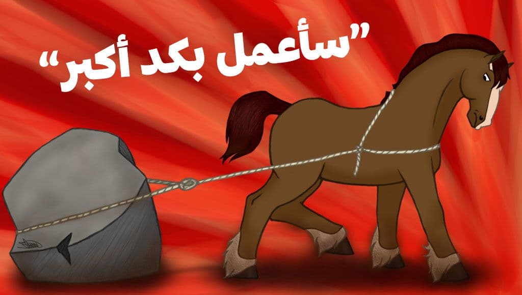 الحصان ”بُكسر“ ذو البنية الجسدية القوية