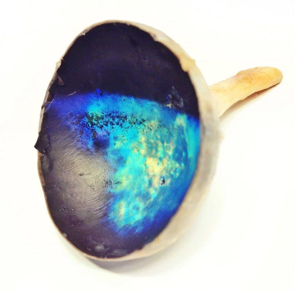 بساط المشيمية (Tapetum Lucidum)