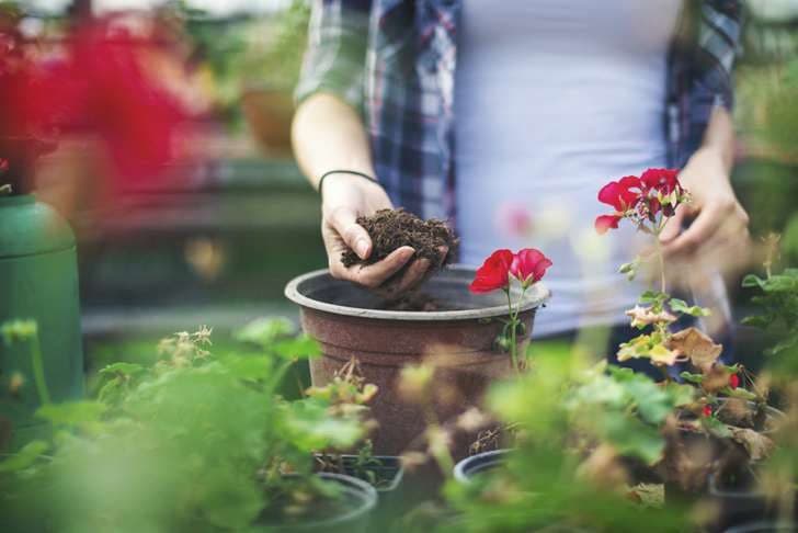 صورة امرأة في الحديقة تحمل تربة بستنة في يدها